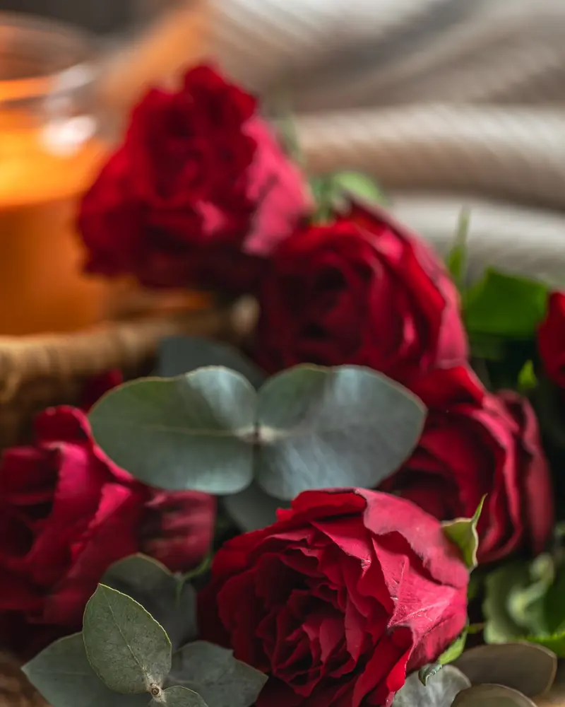 Red roses beside a lit candle